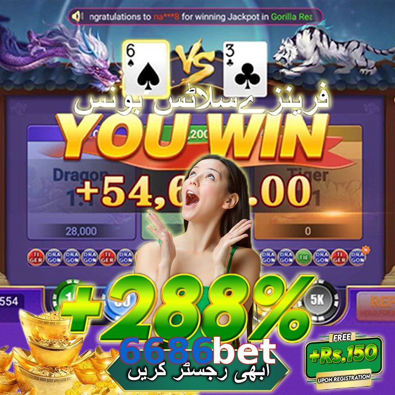 6686bet