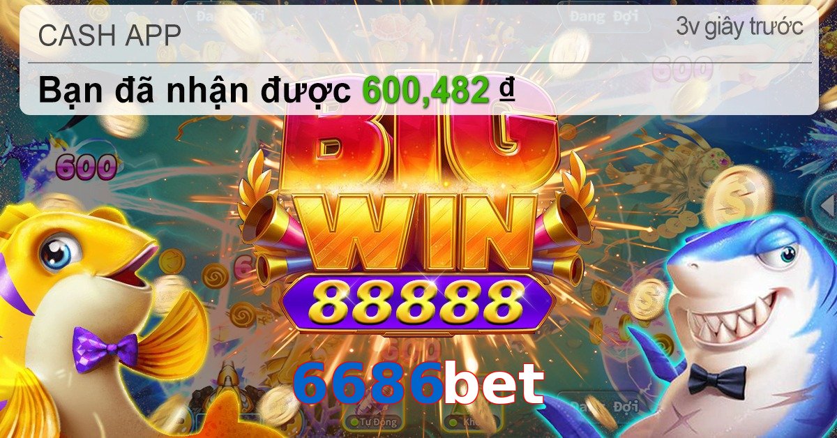 6686bet
