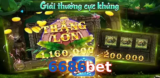 6686bet